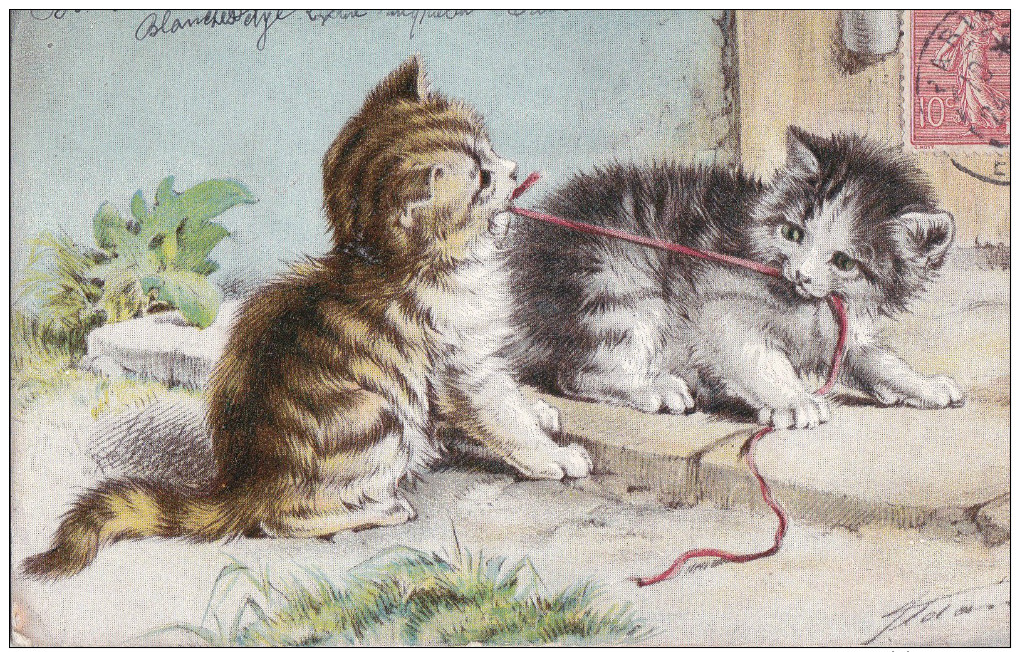 Belle CPA CHATS Illustrés  Les CHATONS S´ Amusent  Qui Va Gagner à Tirer ?  1904 - Cats