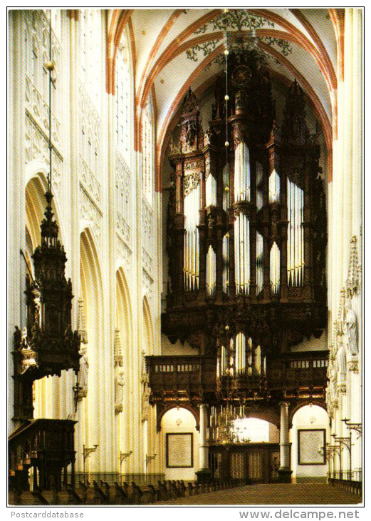 Kathedrale Basiliek Van St. Jan Te 's Hertogenbosch - & Orgel, Organ, Orgue - 's-Hertogenbosch