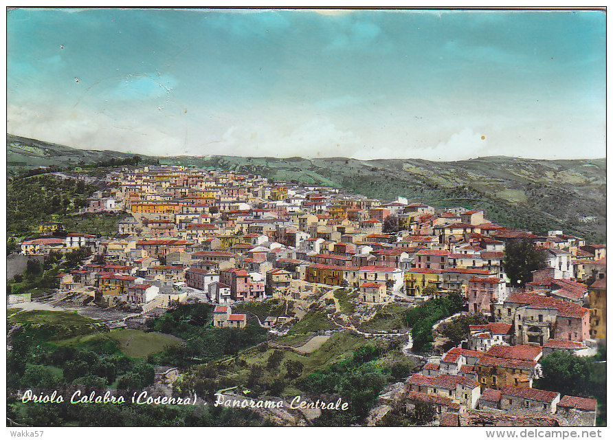 D-1244- Oriolo Calabro - Panorama Centrale - Cosenza - Primi Colori -  F.g.  Viaggiata - Cosenza