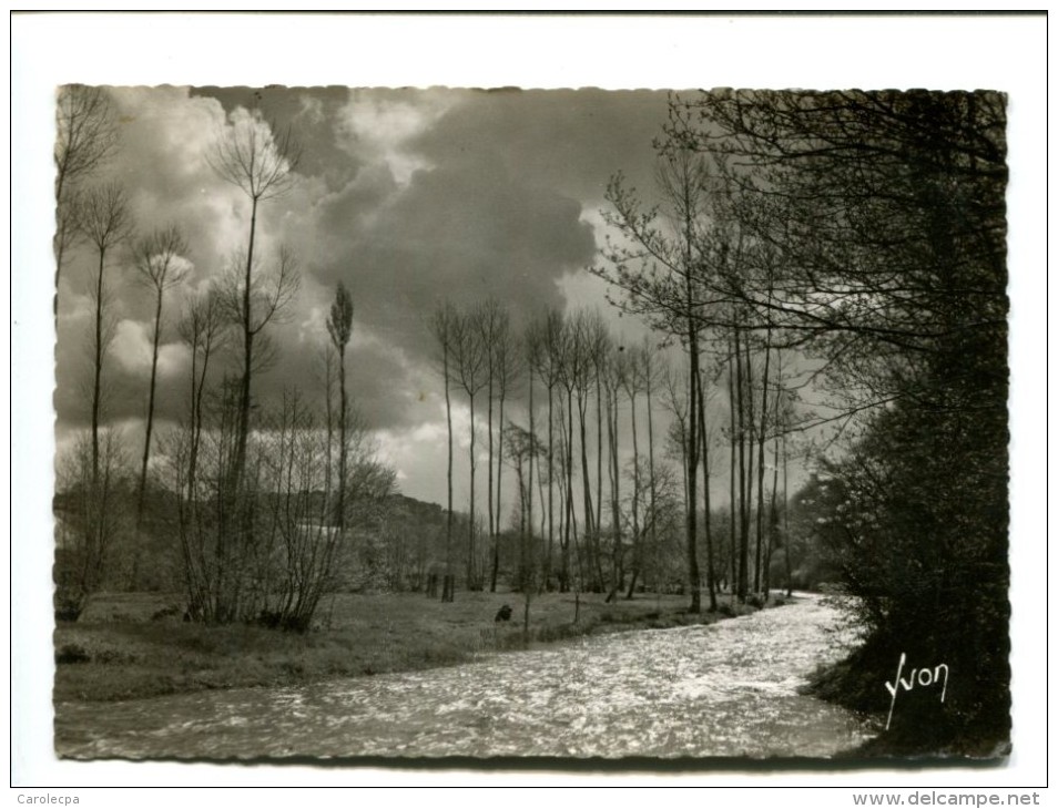 CP - SAINT LEONARD DES BOIS (72) Les Alpes Mancelles Vallée De La Sarthe - Saint Leonard Des Bois