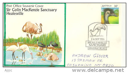 AUSTRALIE. L´ému Australien (Émeu), Lettre Du Healesville Sanctuary (Victoria) - Ostriches