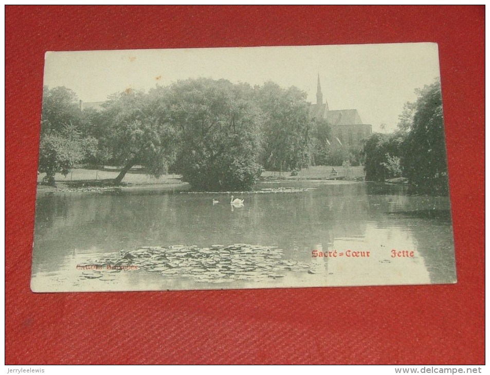 BRUXELLES - JETTE  -  Sacré-Coeur  - - Educazione, Scuole E Università