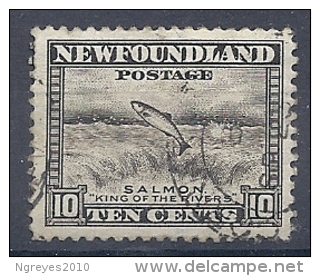 140012117  NEWFOULAND/TERRANOVA  YVERT  Nº  179B  D 12 1/2 - 1908-1947