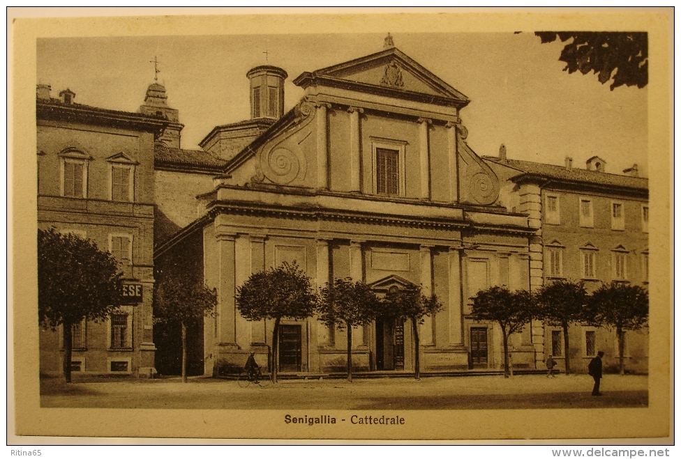 C18 !!! SENIGALLIA CATTEDRALE !!! - Senigallia