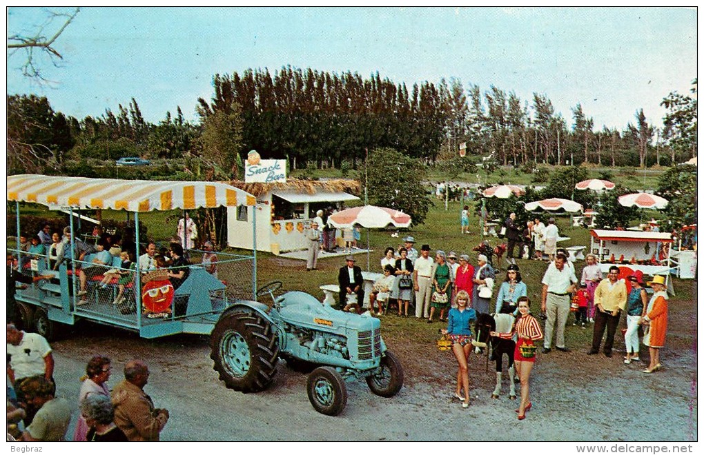 PALM BEACH         LARGEST ATTRACTION     TRACTEUR - Palm Beach