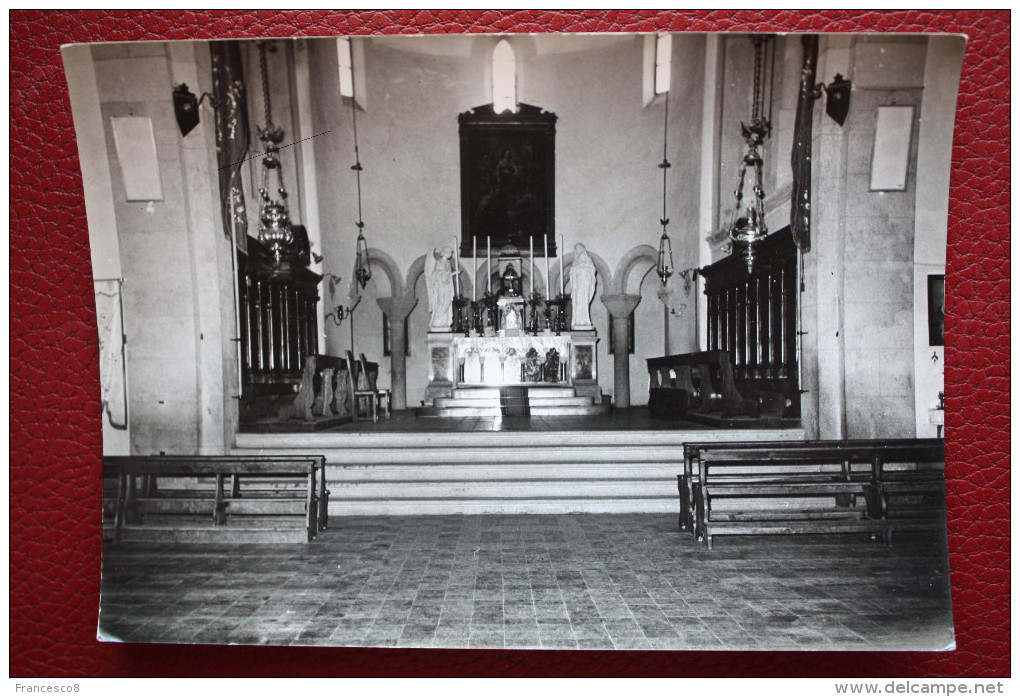 ALTARE DELLA CHIESA DI PALUZZA - FOTOGRAFIA DI DANTE TASSOTTI PALUZZA - Other & Unclassified