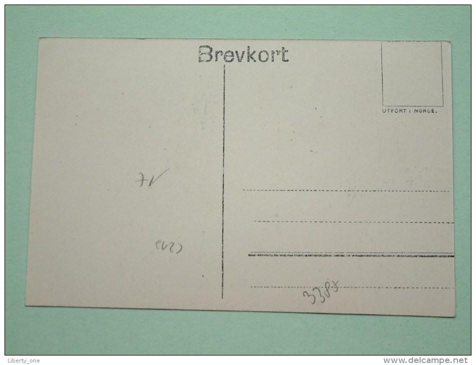 FLAAMSDALEN, Seet Mod Myrdal ( Eneret : K. Knudsen Bergen ) Anno19?? ( Fotokaart / Zie Foto Voor Details ) !! - Norvège