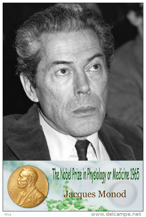 (NZ17-065c  ) Jacques Monod , Nobel Prize Physiology Or Medicine Laureates , Postal Stationery-Postsache F - Nobelpreisträger