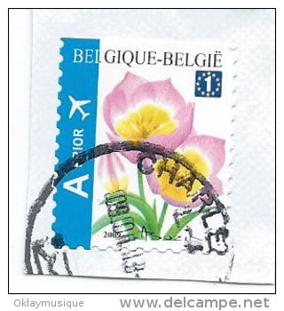 Belgique Sur Fraguement - Used Stamps