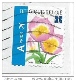 Belgique Sur Fraguement - Used Stamps