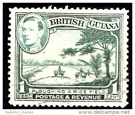 British Guiana, 1938, SG 308, Used - Guyane Britannique (...-1966)