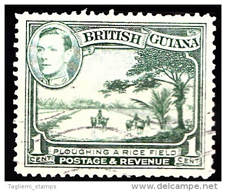 British Guiana, 1938, SG 308, Used - British Guiana (...-1966)