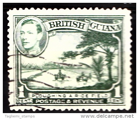 British Guiana, 1938, SG 308, Used - Britisch-Guayana (...-1966)