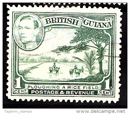 British Guiana, 1938, SG 308, Used - Brits-Guiana (...-1966)