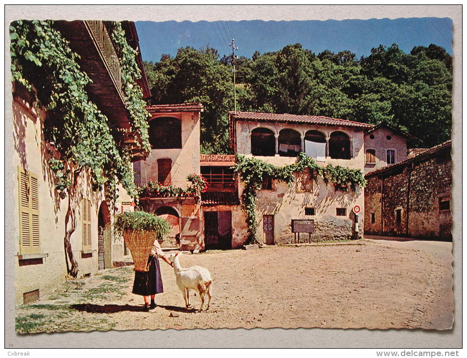 Sessa, Il Ticino Pittoresco, Chèvre Goat Ziege - Sessa