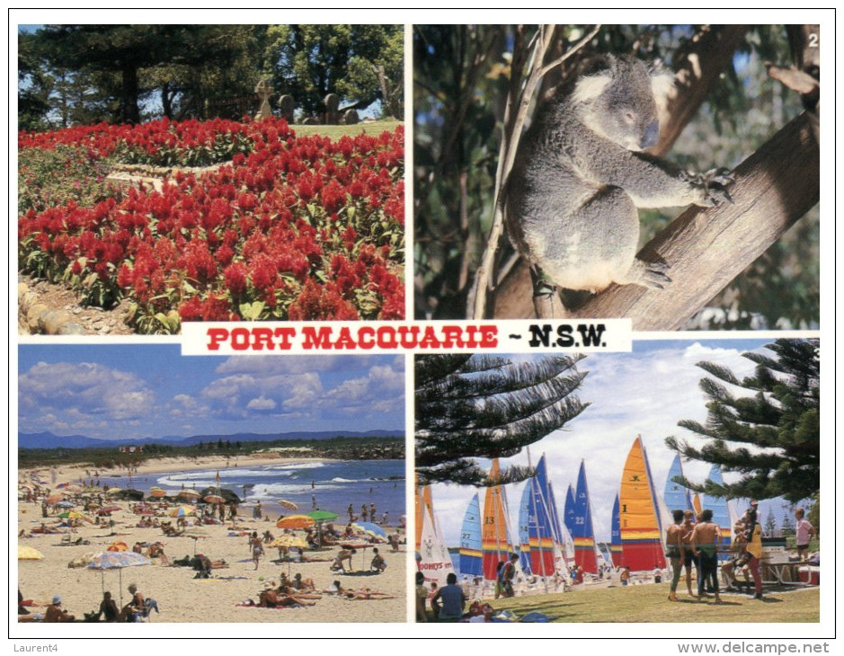 (742) Australia - NSW - Port Macquarie (with Koala) - Port Macquarie