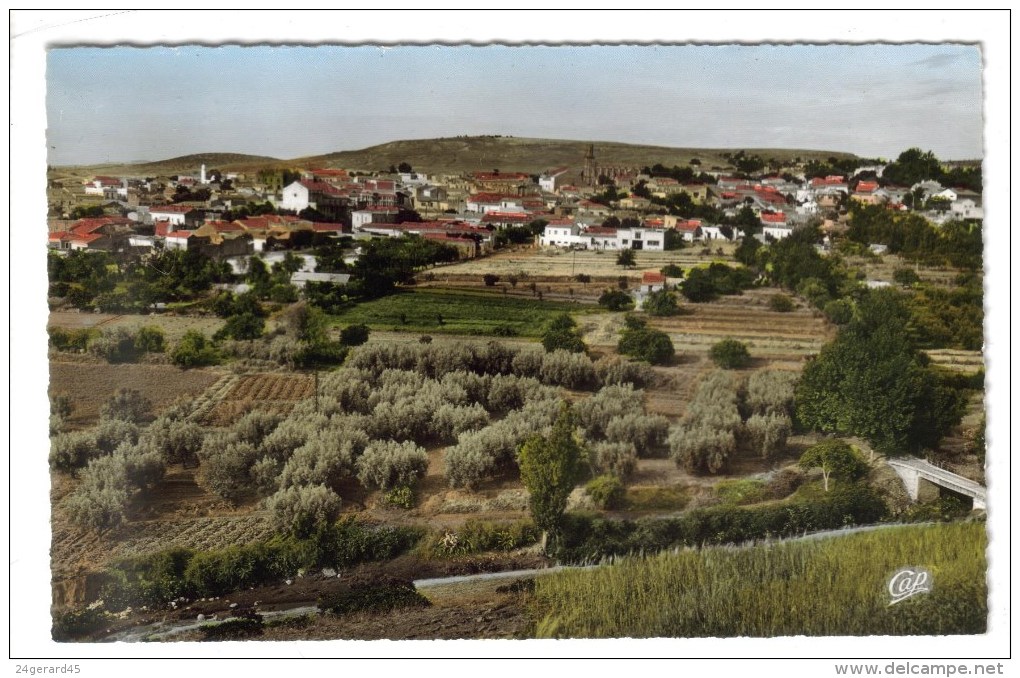 CPSM SAÏDA (Algérie) - Vue Générale - Saïda