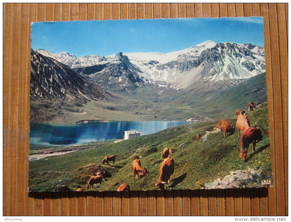 Le La De Tignes Et Grande-Motte (Savoie)Carte Postale Gd Format(20×15 Cm)cie Des Arts Photomécanique Paris - Otros & Sin Clasificación