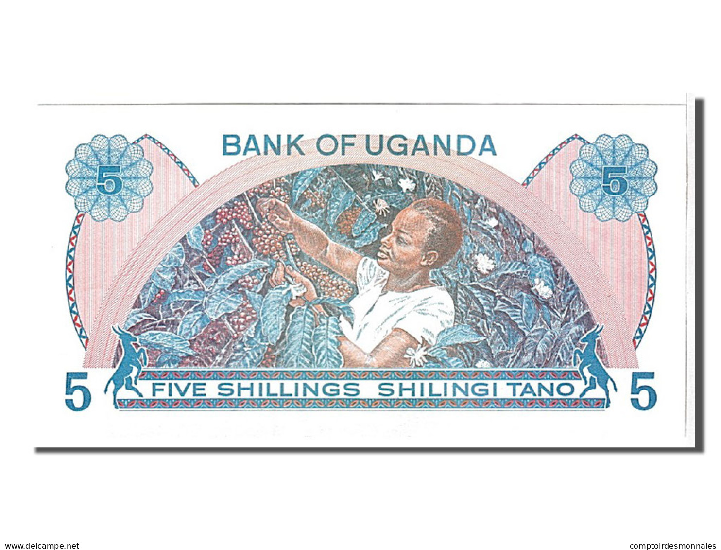 Billet, Uganda, 5 Shillings, 1979, NEUF - Ouganda