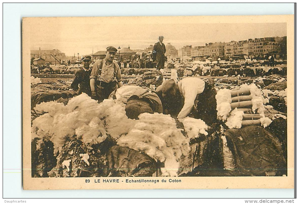 ECHANTILLONNAGE Du COTON Au HAVRE - 2 Scans - Autres & Non Classés