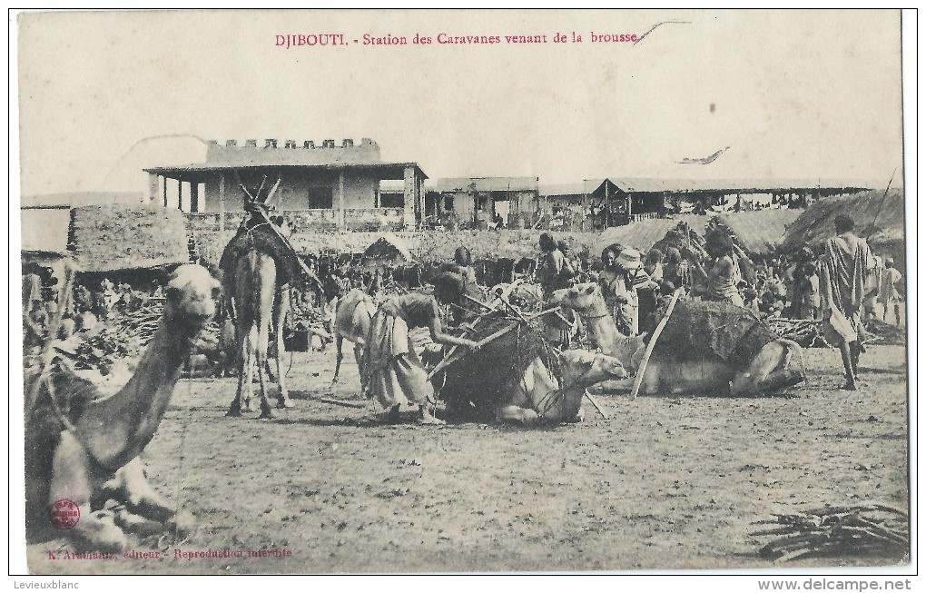 Djibouti / Station Des Caravanes Venant De La Brousse / 1908  CPDIV104 - Dschibuti