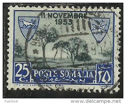 SOMALIA AFIS 1954 CONVENZIONE PER I LEBBROSARI CON L'ORDINE DI MALTA CENT. 25c USATO USED OBLITERE' - Somalia (AFIS)