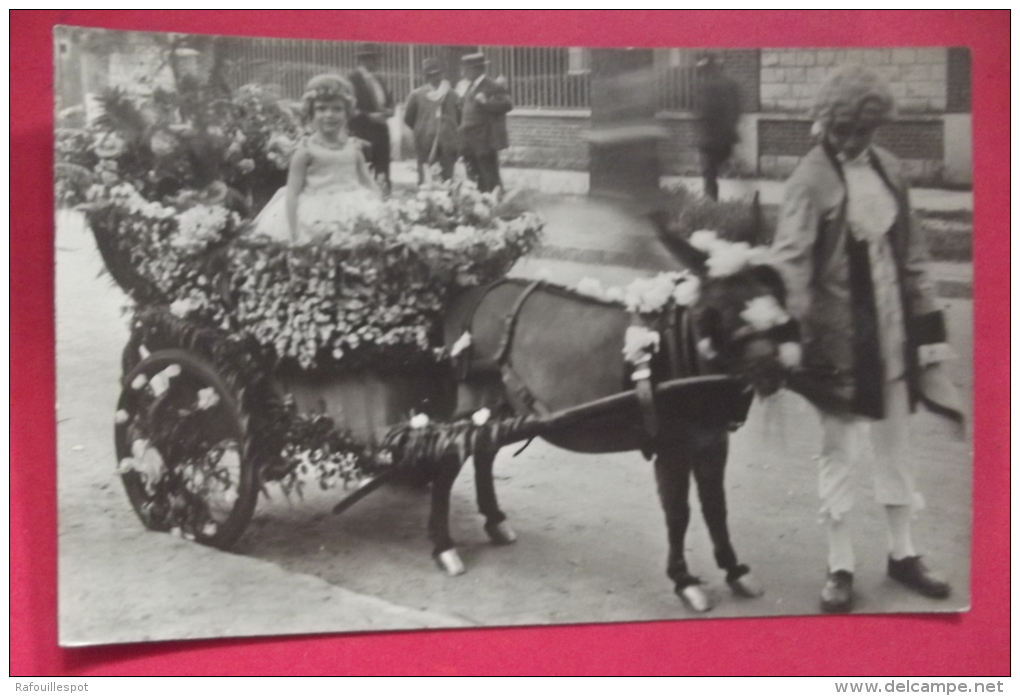 C Photo  Carnaval Enfant Dans Chariot + Ane A Definir - Attelages