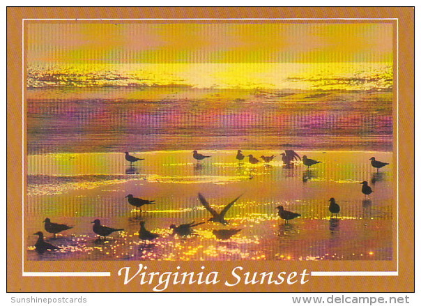 Sunset Greetings From Virginia's Eastern Shore - Chesapeake