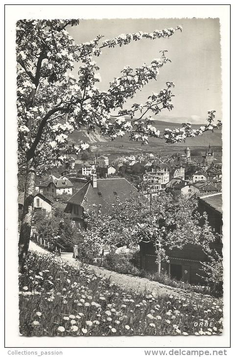 Cp, Suisse, Orbe, Voyagée 1951 - Orbe