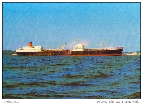 Schiff MS Acteon Reder Shell Tankers 1961 - Tankers