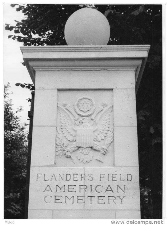 Waregem. Flanders Field American Cemetery. Photo. Foto. - Krieg, Militär