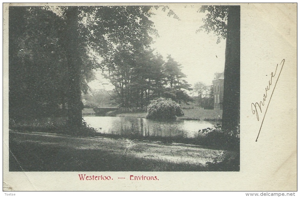 Westerloo … Environs - 190? ( Verso Zien ) - Westerlo