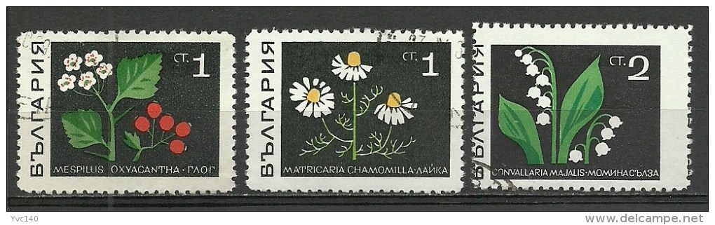 Bulgaria ; 1968 Medicinal Plants - Plantes Médicinales