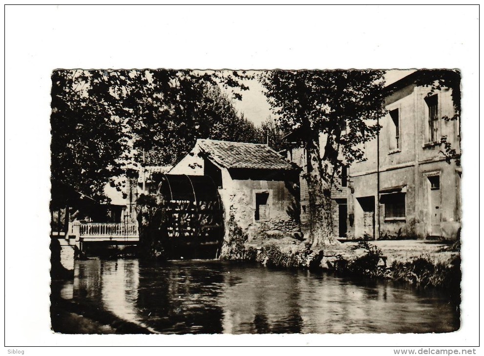 Cpsm  L'isle Sur Sorgue - L'Isle Sur Sorgue