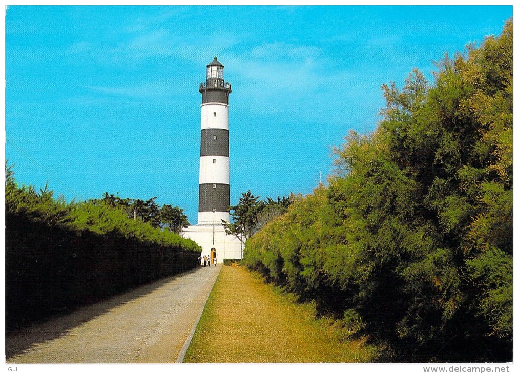 17 Charente Maritime > Ile D´Oléron Phare De CHASSIRON ( Lighthouse) *PRIX FIXE - Ile D'Oléron