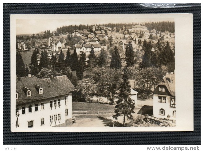 6505  OBERHOF  -  BLICK VOM ERNST THÄLMANN HAUS  ~ 1950 - Oberhof