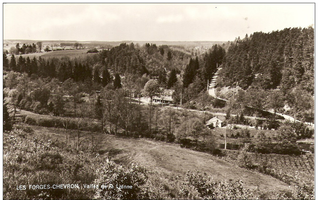 5644 CHEVRON LES FORGES VALLEE DE LA LIENNE - Stoumont