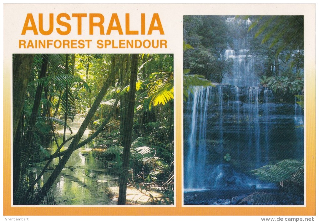 Rainforest, Tasmania -  Tas Postcards &amp; Souvenirs, TP 956 Unused - Wilderness