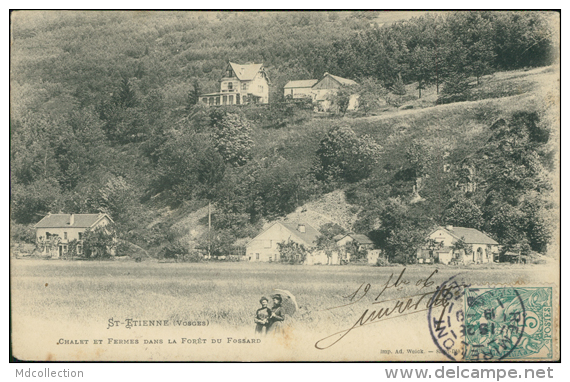 88 SAINT ETIENNE LES REMIREMONT / Chalet Et Fermes Dans La Foret Du Fossard - Saint Etienne De Remiremont