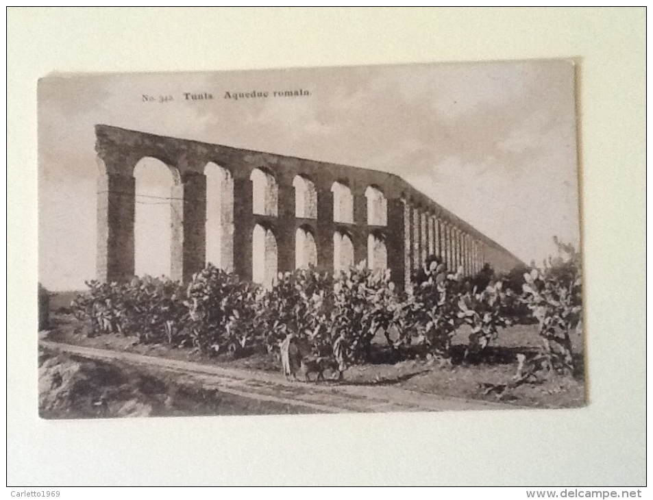 TUNISI AQUEDUC ROMAIN NON VIAGGIATA XX - Tunisia