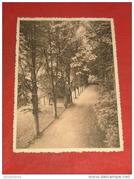 AMAY SUR MEUSE  -  Prieuré Des Moines  - Jardin , Grande Allée  -  1936 - Amay