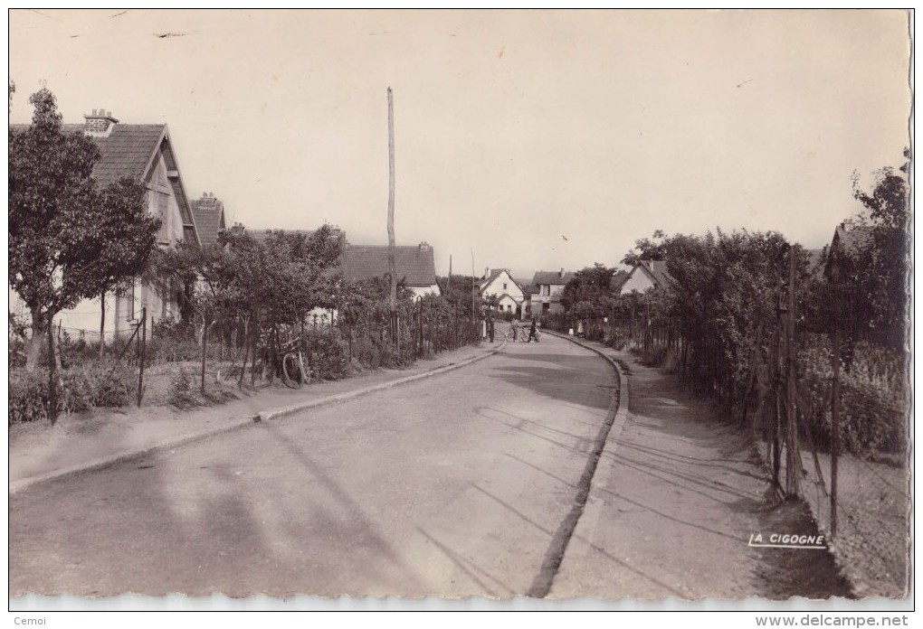 CPSM - THOUROTTE (60) - Rue De Paris - Thourotte