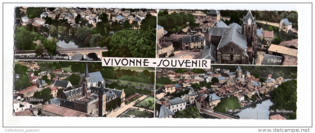 Cp , Carte Panoramique  , Vierge ,86, EN AVION AU DESSUS DE ...VIVONNE, Frais Fr : 1.80€ - Vivonne