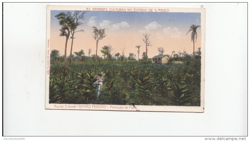 B80932 Nucleo Colonial Gaviao Peixoto Plantacao De Fum  Brazil  Front/back Image - Autres