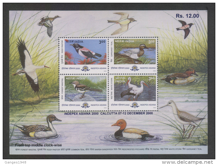 India 2000  Birds  Indepex Asiana  Souvenir Sheet # 62599 Inde Indien - Other & Unclassified