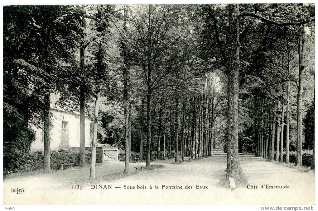 DINAN. Sous Bois De La Fontaine Des Eaux - Dinan