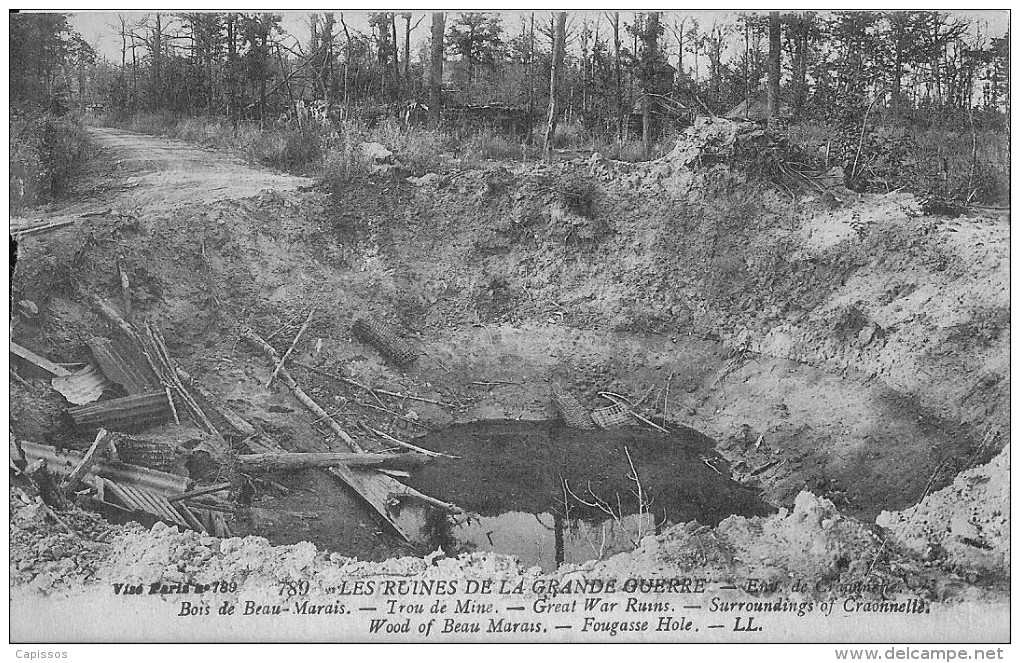 Les Ruines De La Grande Guerre Bois De Beau Marais Trou De Mine Etat Parfait - War 1914-18