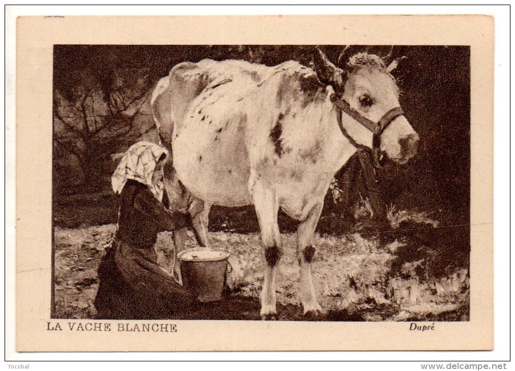 CHROMO, MUSCULOSINE BYLA, Jus De Viande Crue, Vitaminé, (LA VACHE BLANCHE, Dupré) - Sonstige & Ohne Zuordnung