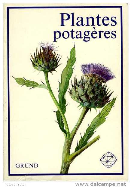 Plantes Potagères Par Eva Tronickova (ISBN 2700018133) - Jardinería