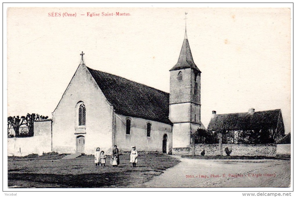 CP, 61, SEES, Eglise Saint Martin, Vierge, - Sees